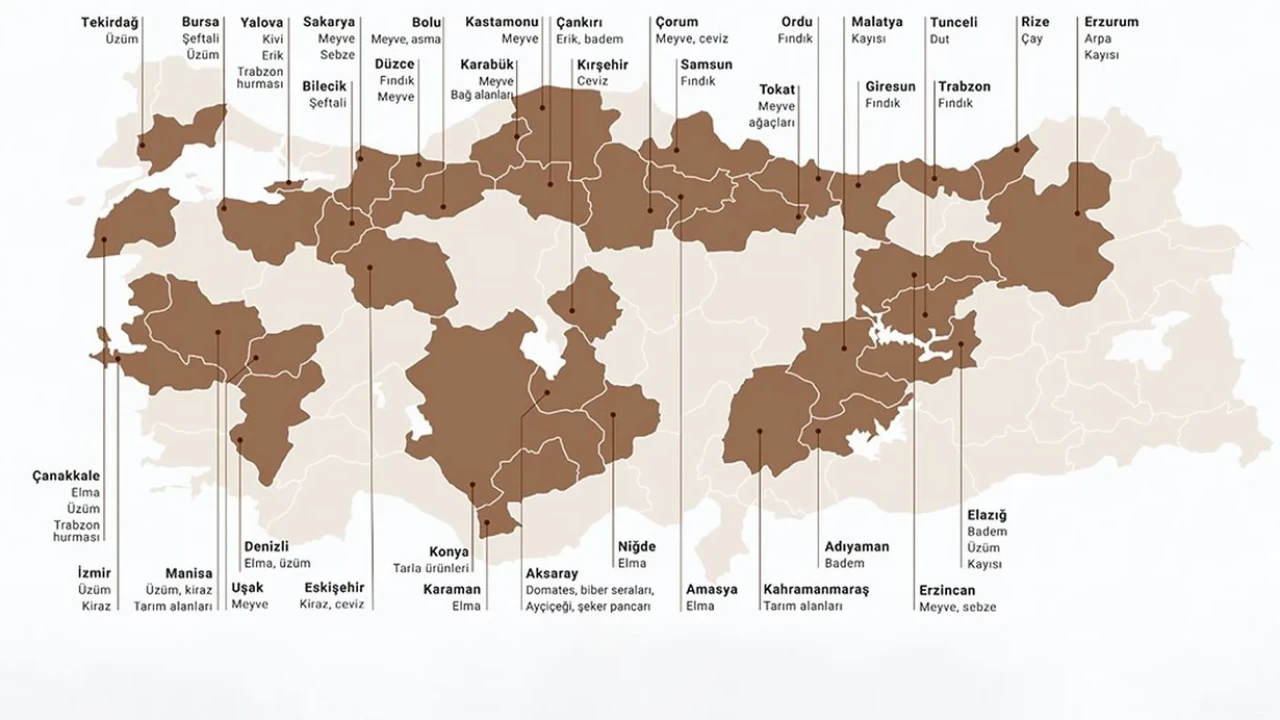 Türkiye'de bu yaz kıtlık olur mu?