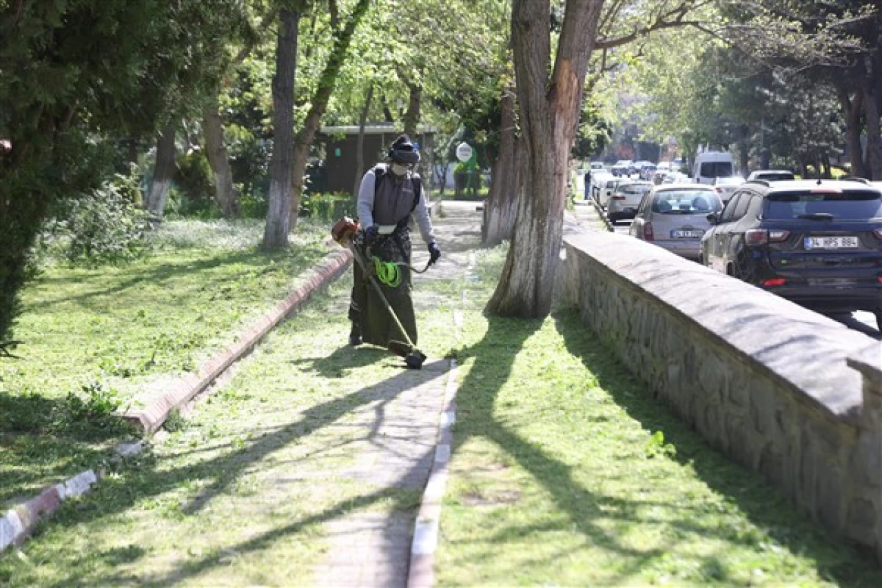 Bakırköy Belediyesi, ilçede bakım çalışmalarına başladı