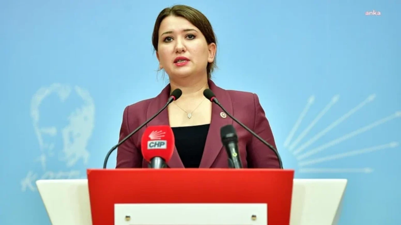 CHP'li Gökçen, İzmir'deki öğretmenin atamasının iptalini Meclis gündemine taşıdı