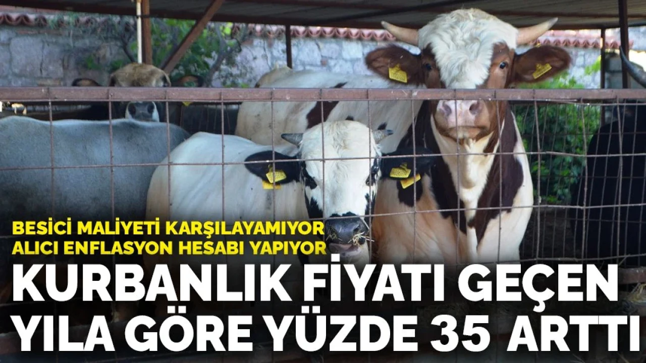 Kurban Bayramı'na Yönelik Kurbanlık Fiyatlarındaki Artış Üretici ve Tüketicileri Endişelendiriyor