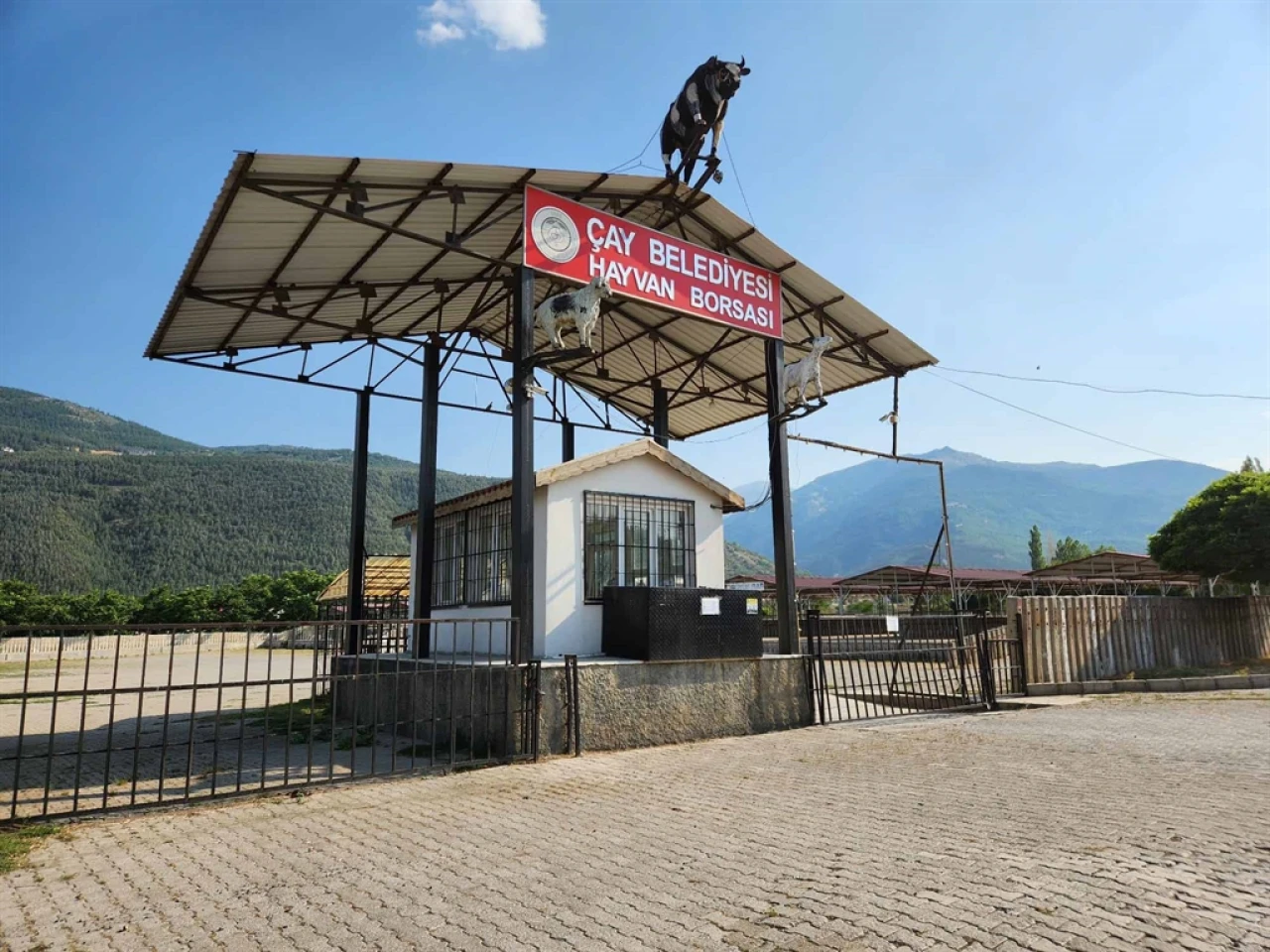 Çay'da Şap Hastalığı Nedeniyle Hayvan Pazarı Geçici Olarak Kapatıldı