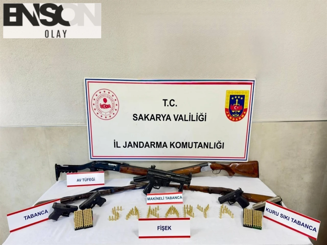 Sapanca'da Ruhsatsız Silahlarla Yakalanan Şüpheli Tutuklandı