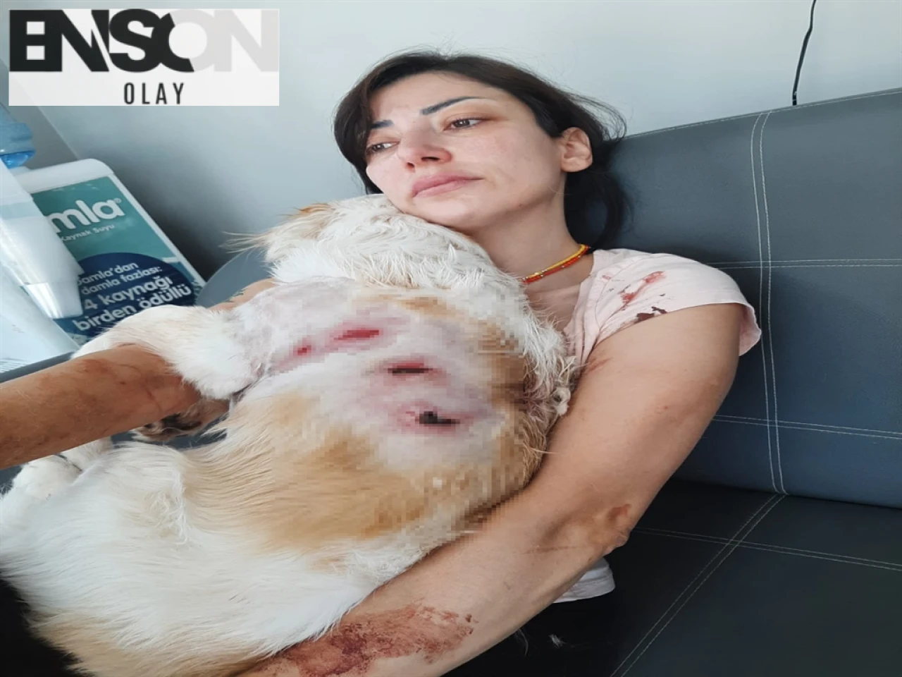 Bursa'da Köpeğini Gezmeye Çıkaran Genç, Sokak Köpeklerinin Saldırısına Uğradı!