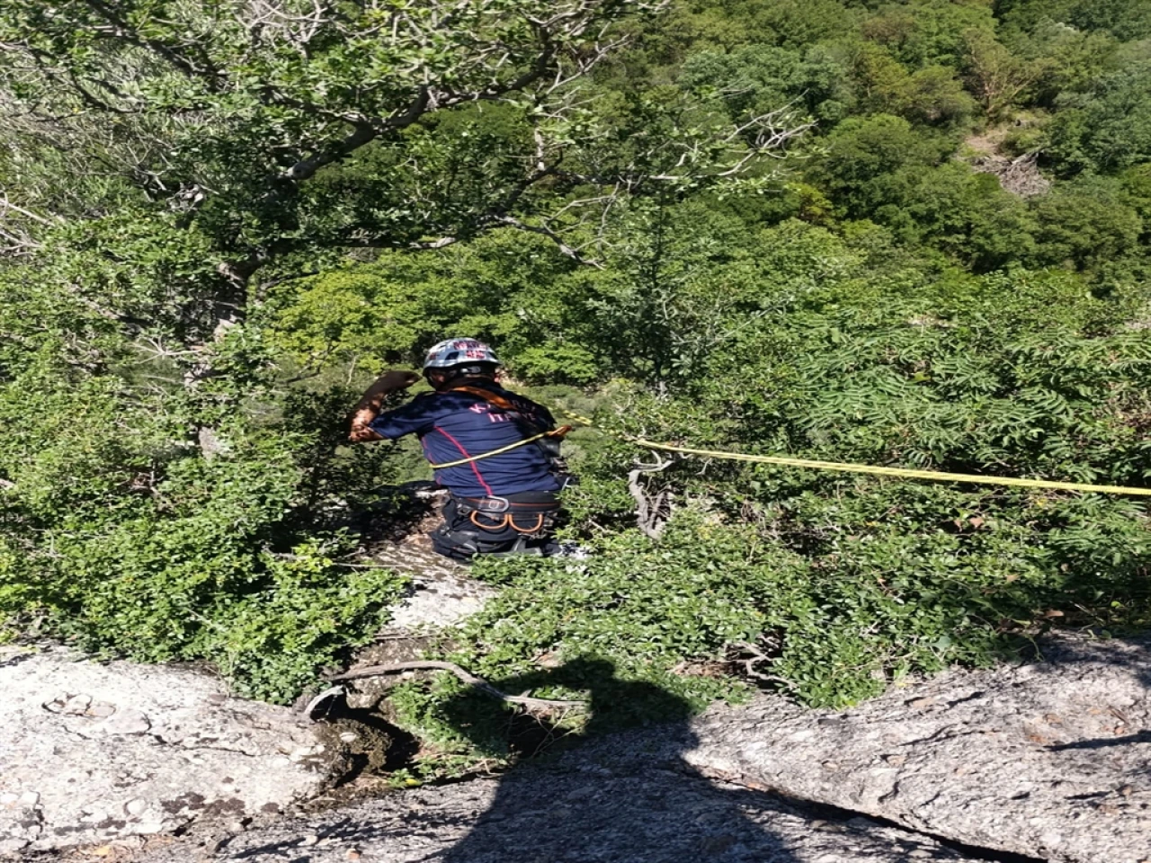 Mahsur kalan keçiler sarp araziden kurtarıldı, çoban sevinçli!