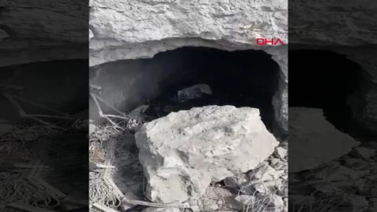 Irak'ın Kuzeyindeki Mağarada Teröristlerden Ele Geçirilen Silah ve Mühimmatlar!
