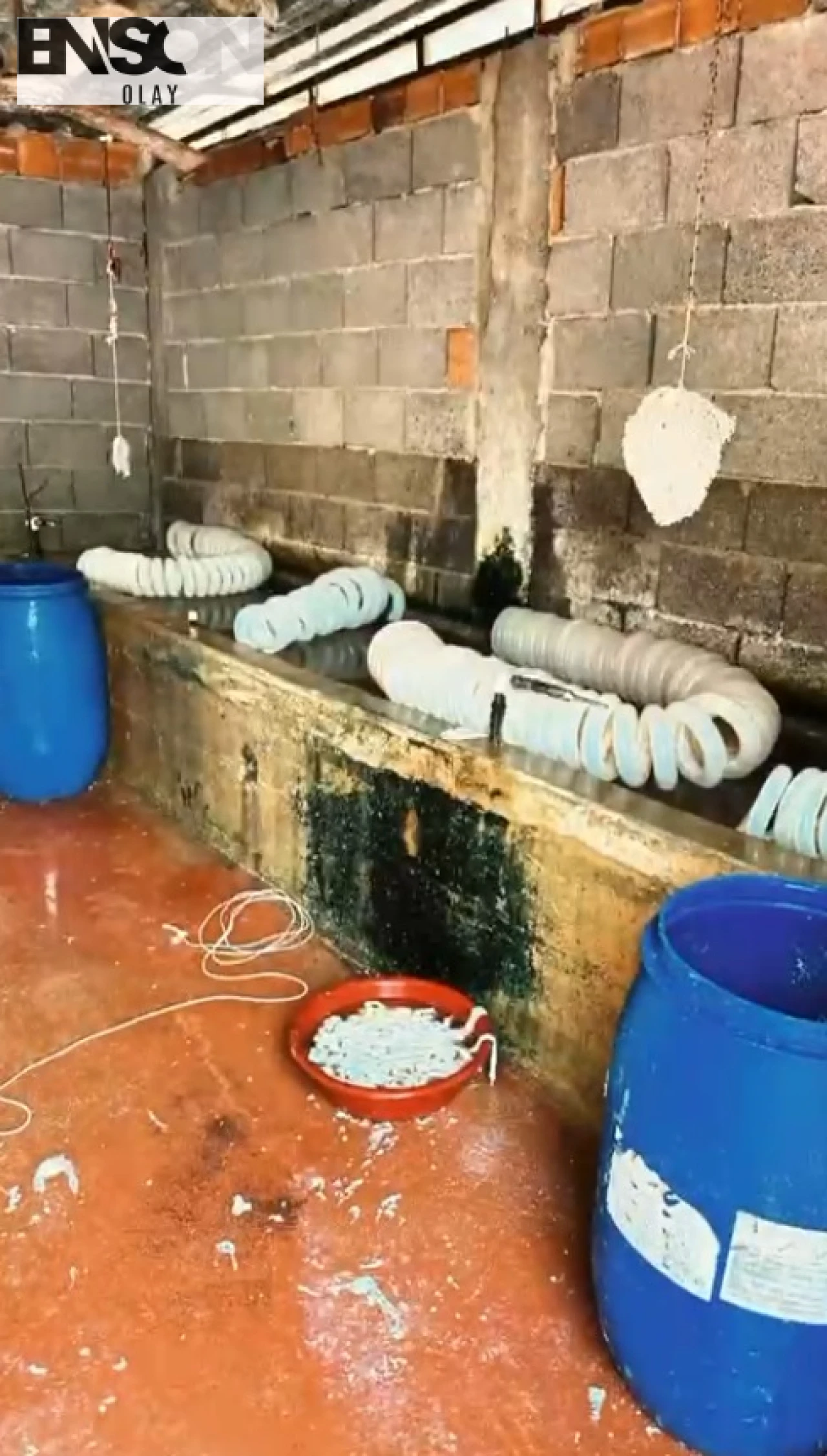 Adana'da Ruhsatsız İşletmede Kaçak Et Ürünleri Ele Geçirildi ve İmha Edildi