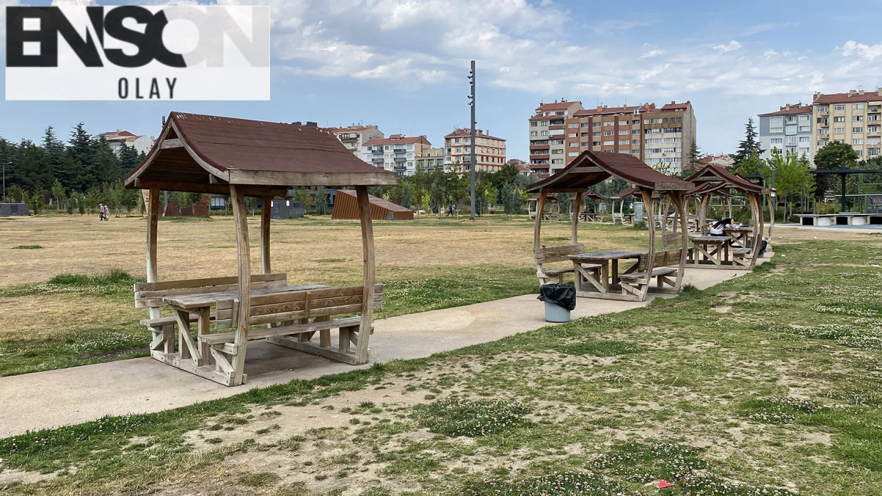 Eskişehir'de Millet Bahçesi'nde yaşanan korkunç olayla ilgili şüpheliler serbest bırakıldı! Uyuşturucu tehdidi ve zorbalık olayıyla ilgili detaylar...