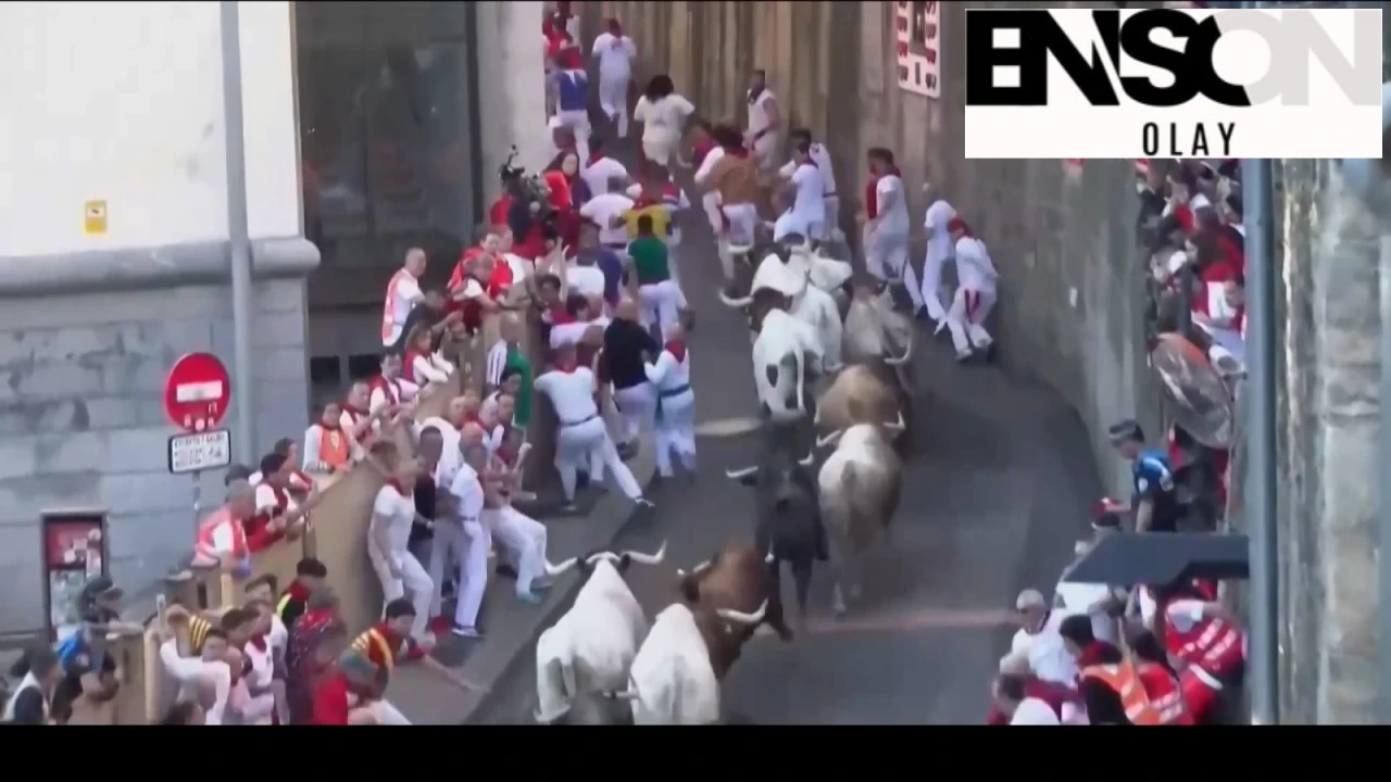 San Fermin Festivali'nde Boğalarla Koşu: Adrenalin Dolu Anlar!