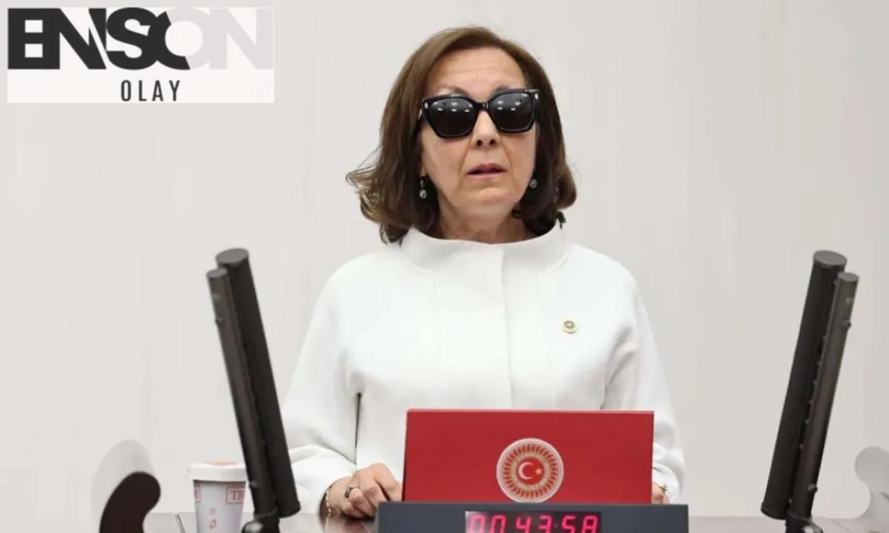 Serap Yazıcı Özbudun: Görme Engelli Anayasa Hukuku Akademisyeni, Gelecek Partisi'nden AK Parti'ye Geçiş Yaptı