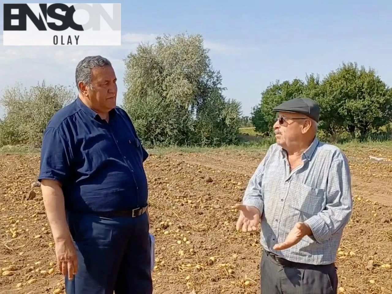 Patates Üreticileri Krizde: "Ürettiğimiz Mal Tarlada Kalıyor, Satamıyoruz"