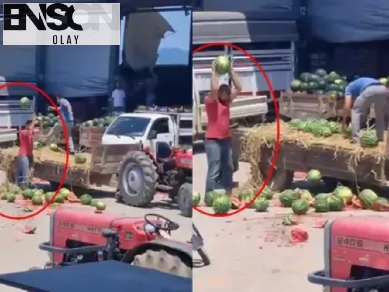 Geyve'de Karpuz Skandalı: Üreticiler Anlaşmalı Toptancının Vazgeçmesiyle Karpuzları Parçaladı, İşlem Başlatıldı