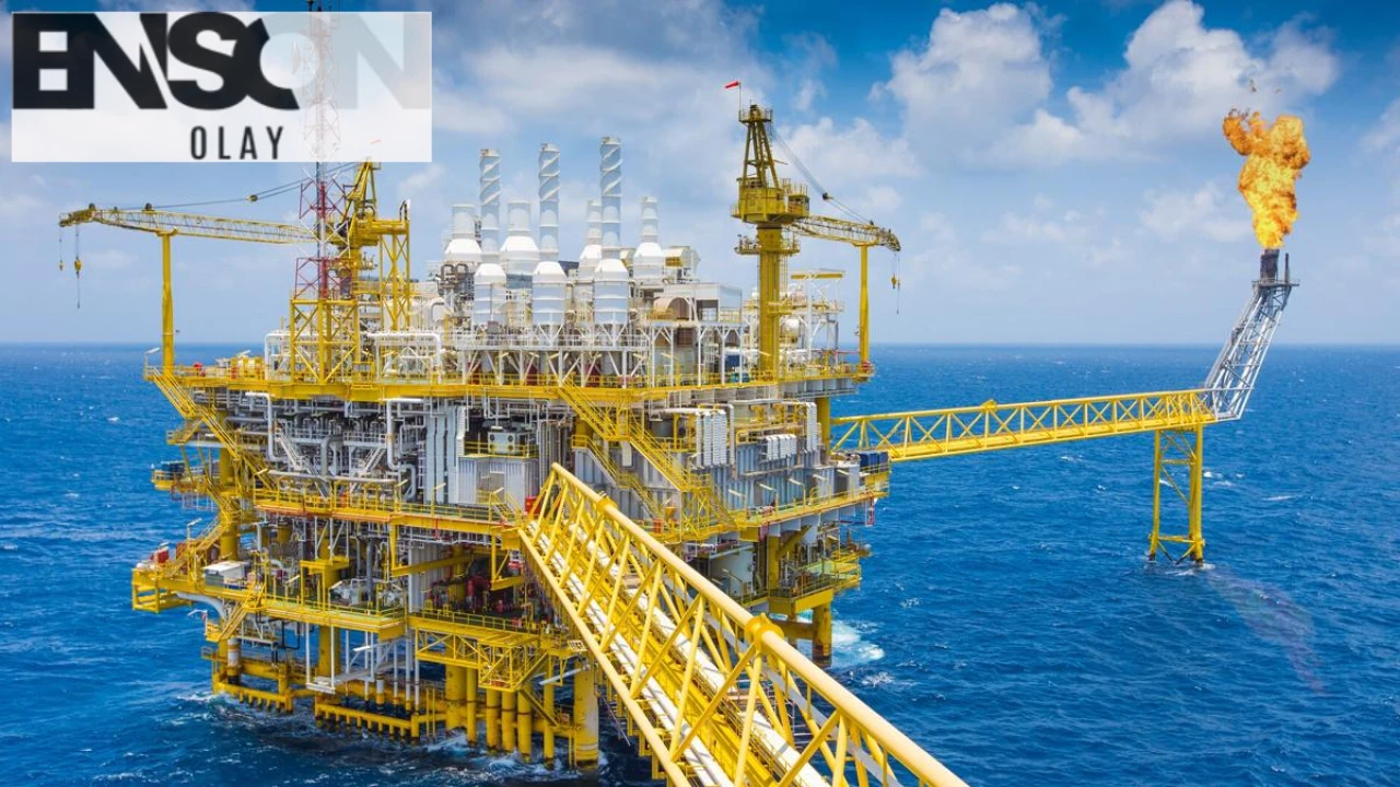 Biyogazdan Elektrik Üretimi Türkiye'de Yükselişte: Yerli Enerji Kaynağıyla 1 Milyon Hanenin İhtiyacı Karşılanıyor