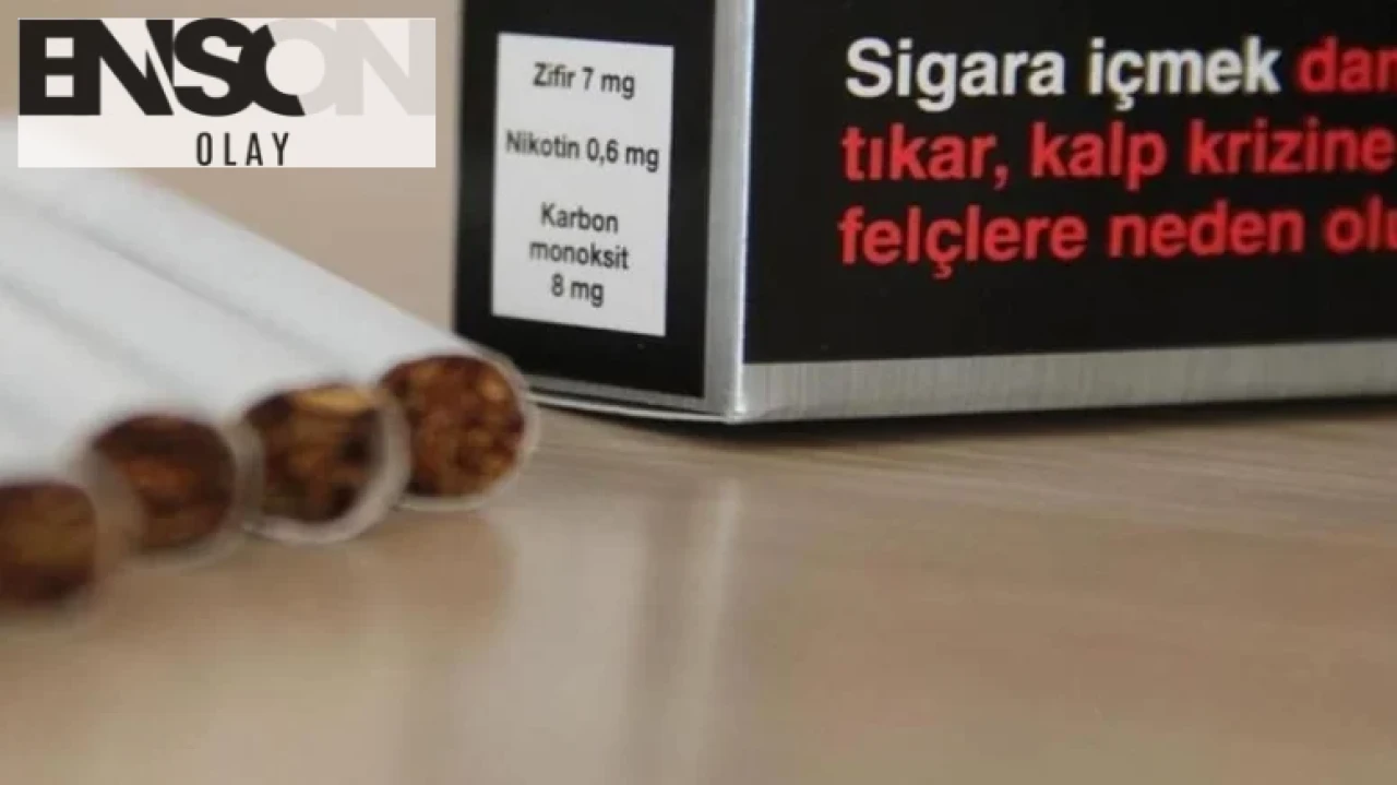 Almanya'da Philip Morris'in Dresden'deki Son Sigara Fabrikasının Kapanmasıyla İlgili Gelişmeler.