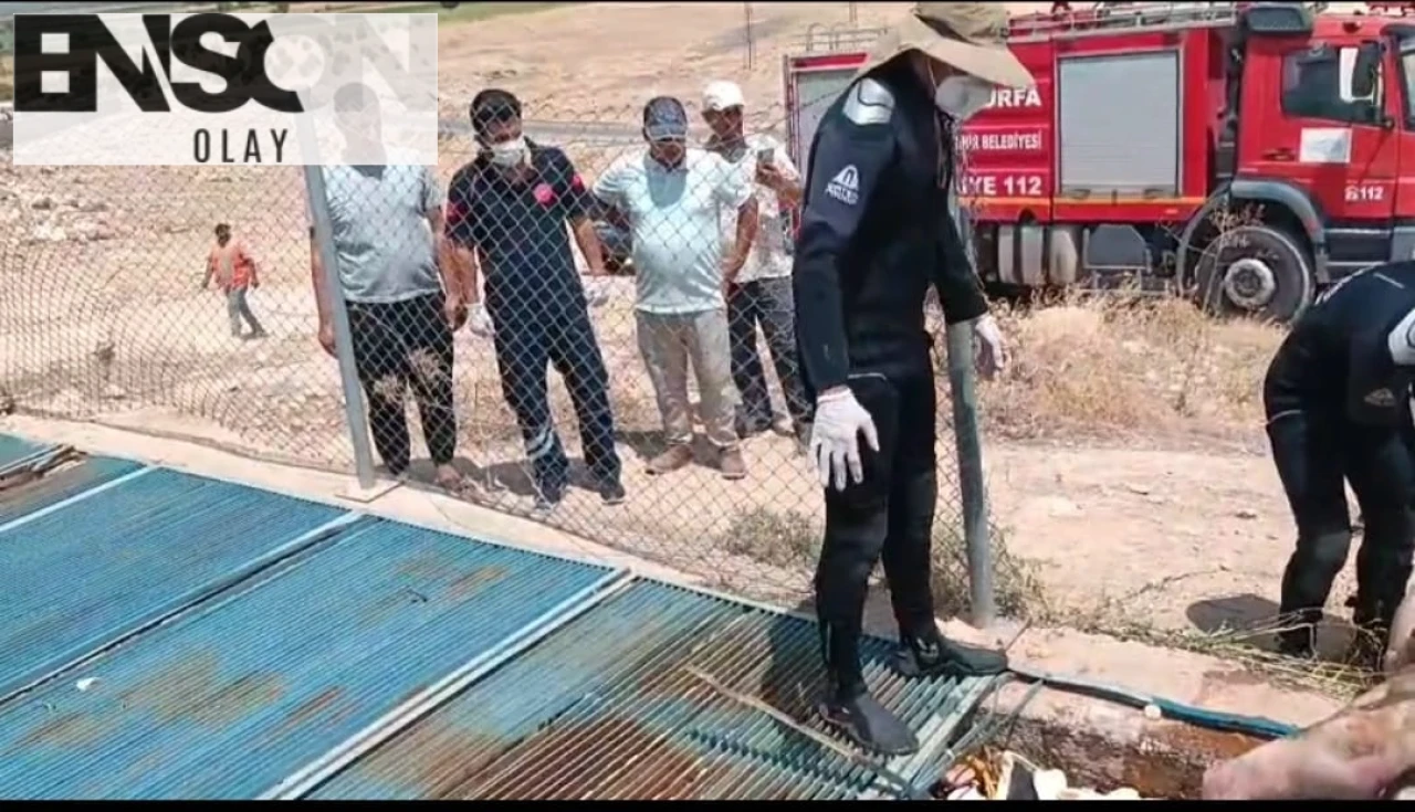 Şanlıurfa'da sulama kanalında kaybolan gencin cansız bedeni bulundu, soruşturma başlatıldı.