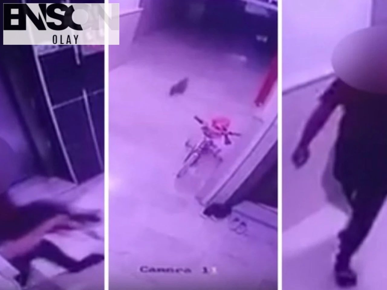 Parsana Mahallesi'nde Hamile Kediye Şiddet Uygulayan Apartman Sakini Hakkında Suç Duyurusu yapıldı.