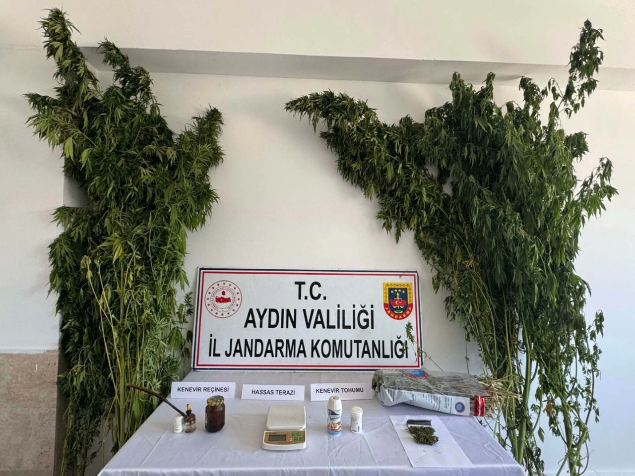 Nazilli'de 70 Yaşındaki Şahıs Uyuşturucu Operasyonunda Yakalandı