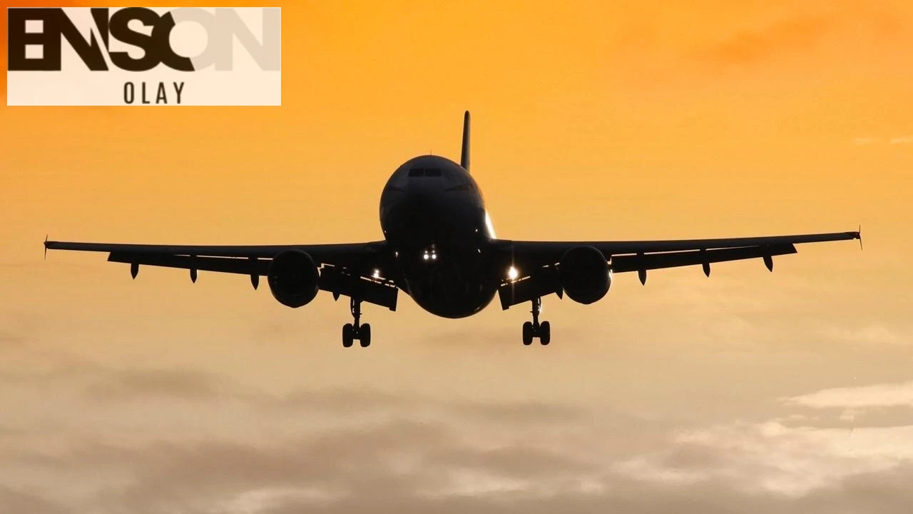 Rusya'da düşen An-24 model uçağın enkazı bulundu: 43 yolcu ve 6 mürettebat kayıp.