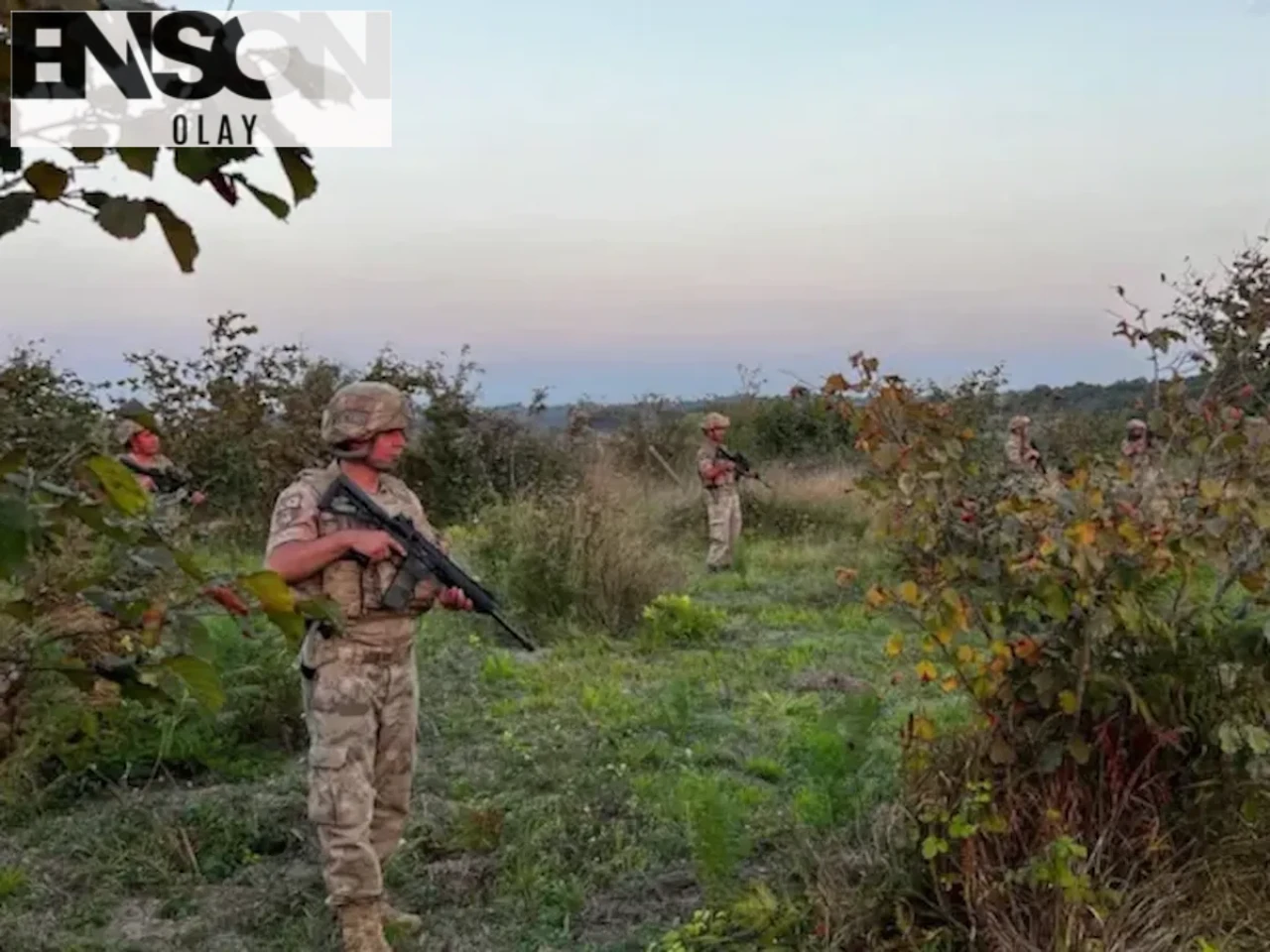 Karabük'ün Safranbolu İlçesinde Değerli Safran Tarlası Hırsızlığı: Çiftçiler ve Jandarmalar Nöbette