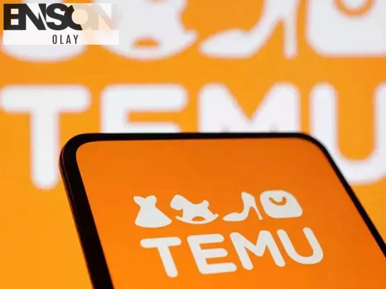 Türkiye'de Temu Alışveriş Platformu: Kimlik Numarası Talebi ve Şikayetler!