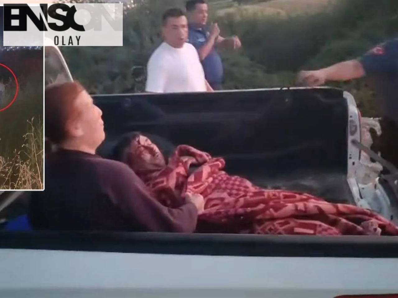 Manavgat'ta Yaralı Bir Kişiyi Kaçıran Aslanın Bulunduğu Hayvan Parkı Mühürlendi