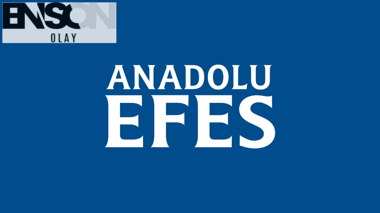 Anadolu Efes, Dessert'i Transfer Etmek Üzerine Fransa'dan Adım Atıyor!