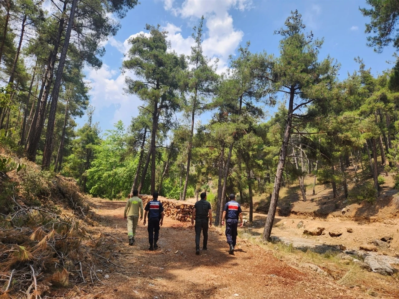 MERSİN Jandarma Ekipleri Orman Yangınlarına Karşı Devriye Görevinde!