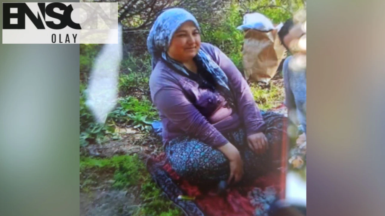 Mihalgazi'de Kaybolan Kadın İçin Arama Kurtarma Çalışmaları Devam Ediyor