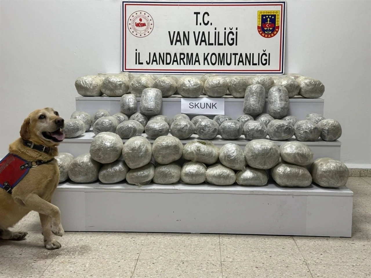 VAN'da Jandarma Ekipleri Tarafından 97 Kilo Skunk Ele Geçirildi, 1 Kişi Gözaltında