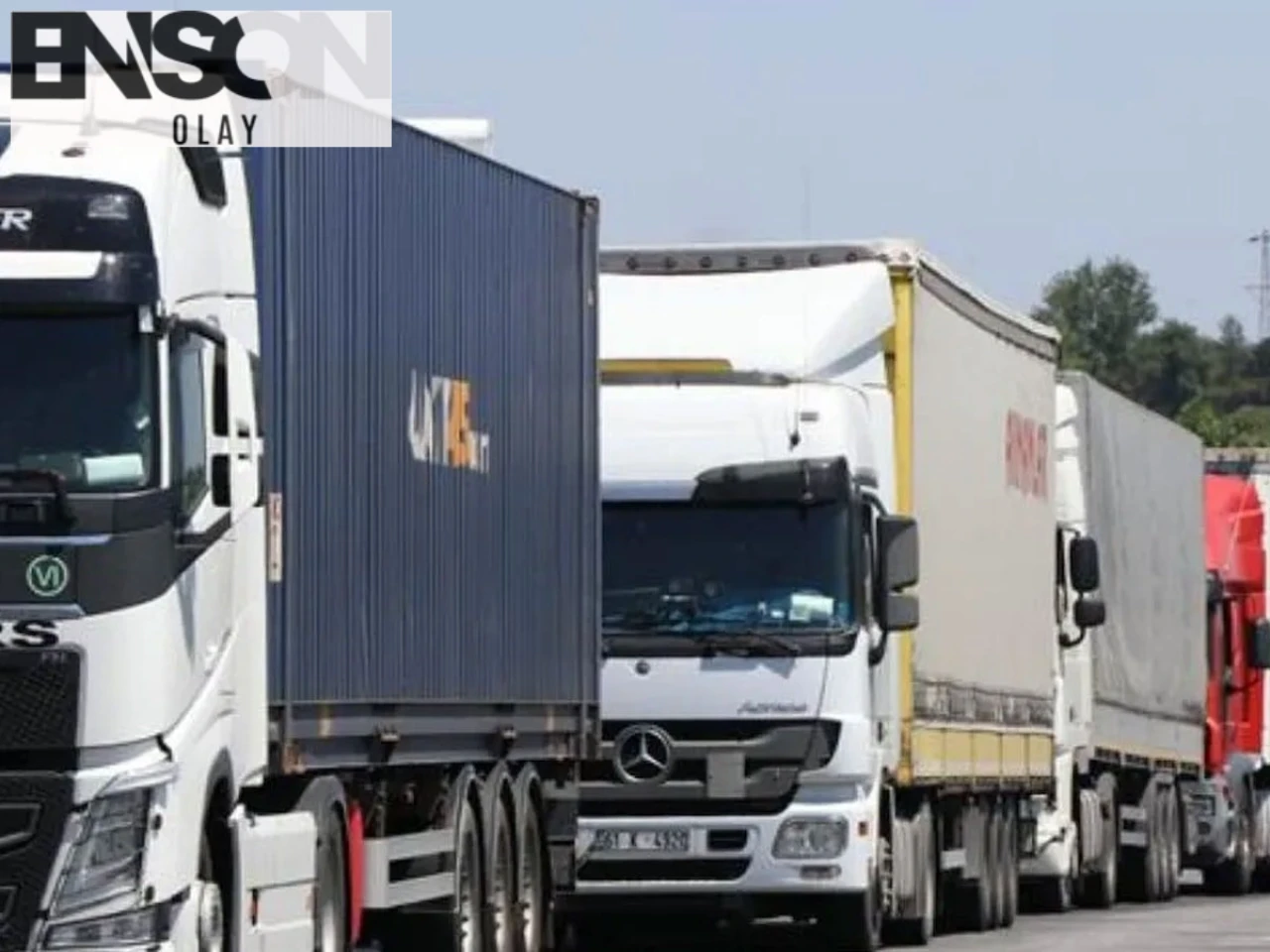Fransa'da Tehlikeli Salmonella Skandalı: Türkiye'den İthal Edilen Antep Fıstıkları Geri Çağrıldı