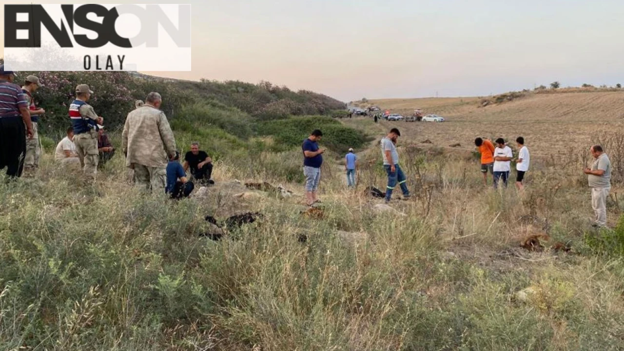 Erzin'deki Fabrikaların Atık Suları Keçilere Ölüm Getirdi, 104 Hayvan Telef Oldu