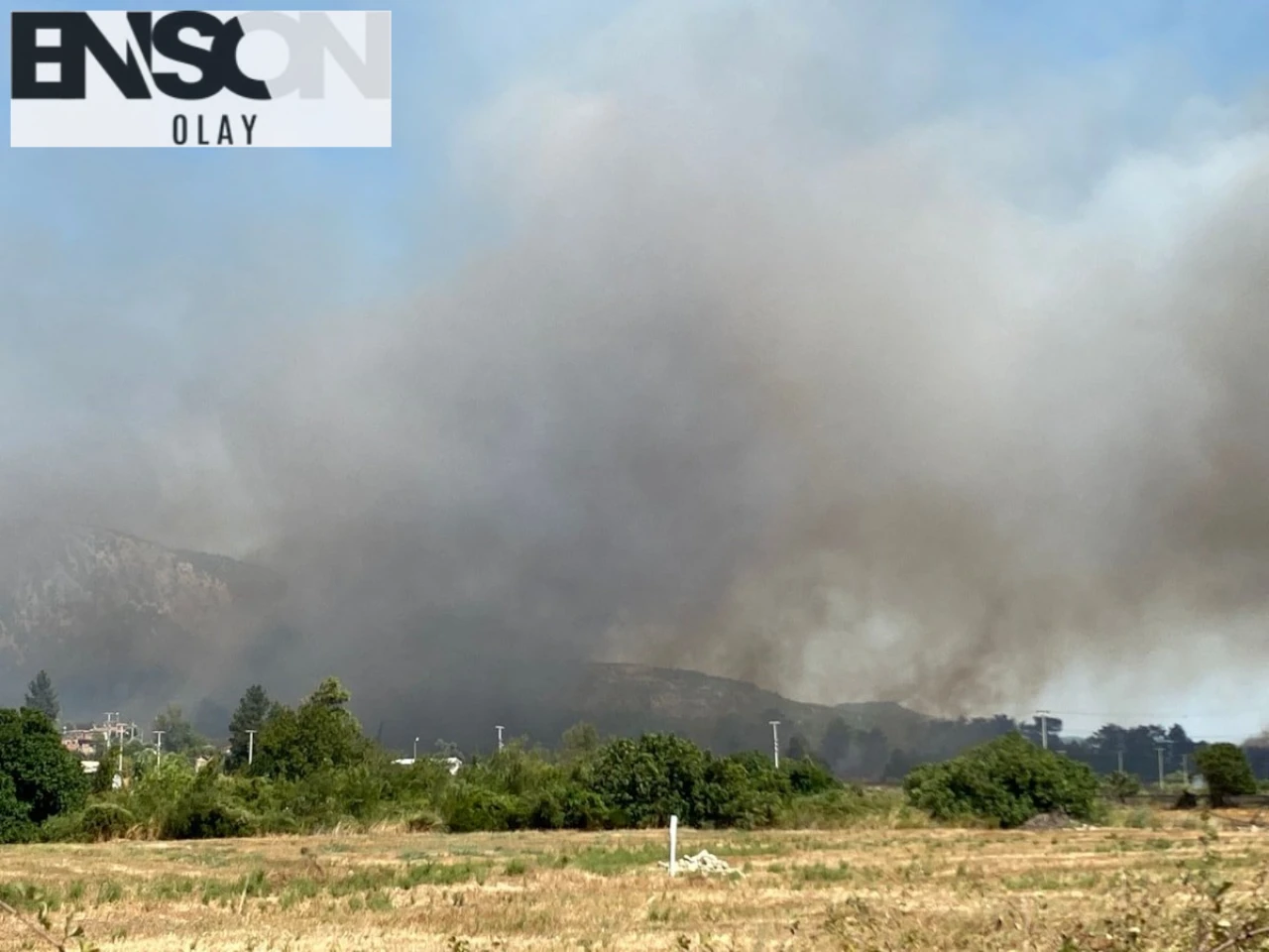 Antalya'nın Serik ilçesinde Ormanlık Alanda Çıkan Yangınla Mücadele Devam Ediyor