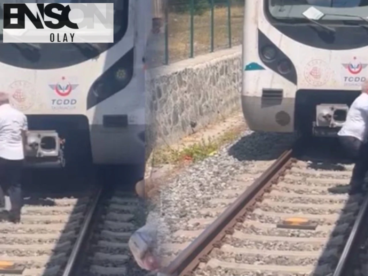 İstanbul'da Makinist Yavru Kediyi Kurtardı, Yolcular Alkışlarla Teşekkür Etti
