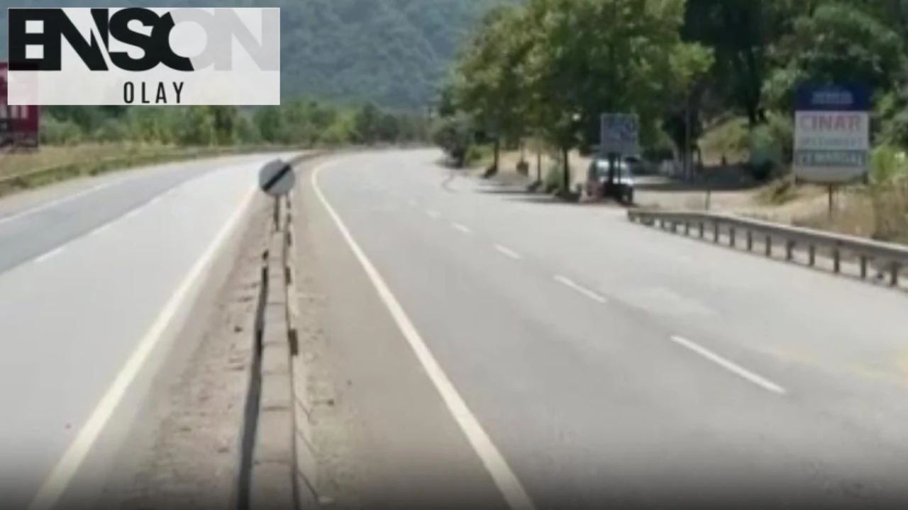 Geyve'deki Orman Yangınında D-650 Yolu Trafiğe Kapatıldı ve Evler Tahliye Edildi