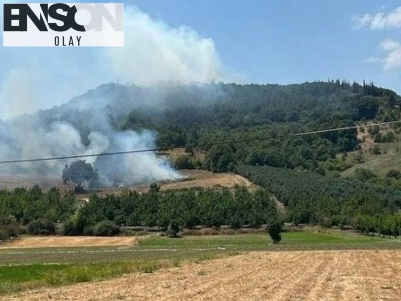 Bingöl'de İki Köyde Orman Yangını Kontrol Altına Alındı