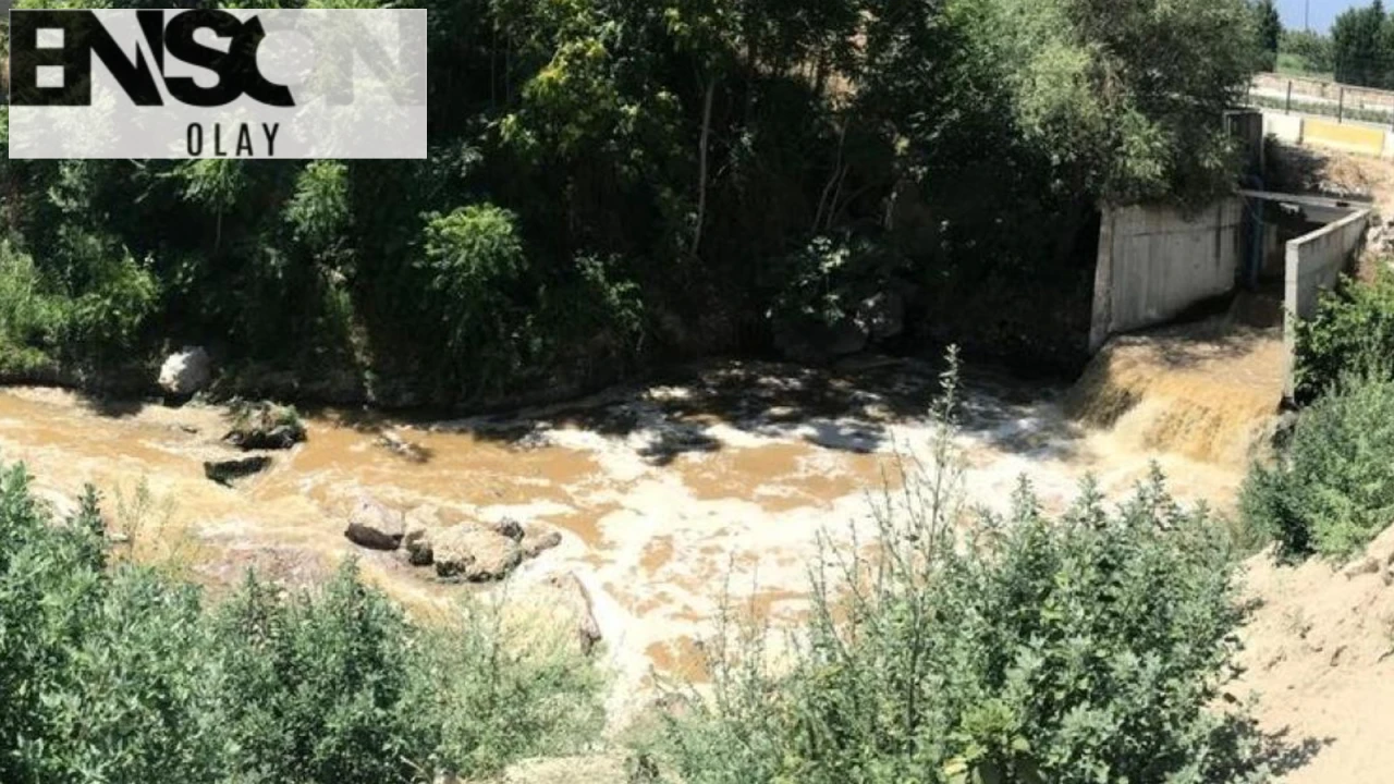 Denizli'de Çiftçilerin Şikayeti Üzerine Çevre Bakanlığı Harekete Geçti, DESKİ'ye 1.6 Milyon TL Ceza Kesildi