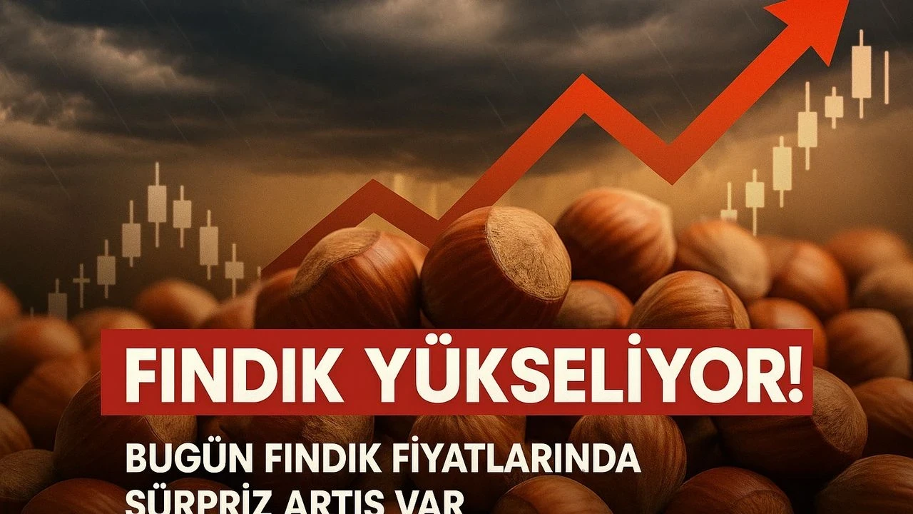 "Fındık Fiyatları Karadeniz'de Yükselişe Geçti: İşte Detaylar"