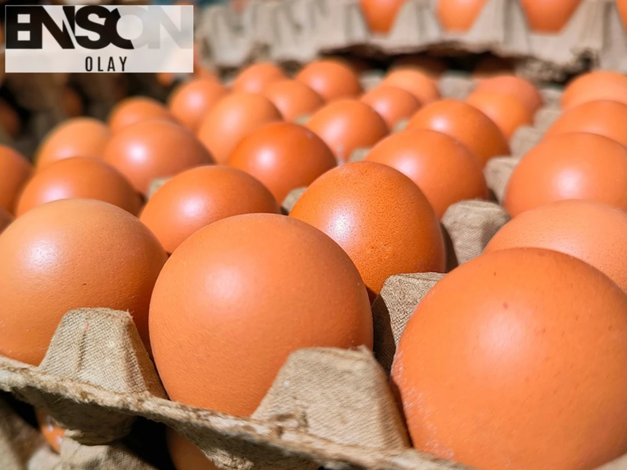 Morrisons Uzmanı: Yumurtaları Buzdolabında Doğru Saklamanın Püf Noktaları!