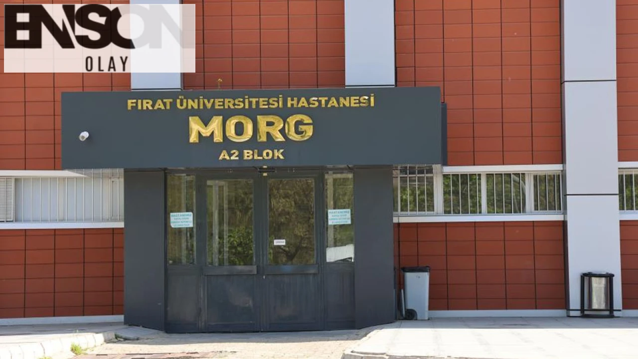 Taksici Ferdi Erol'u Silahla Öldüren Şahıs Polise Teslim Oldu, Olayla İlgili Soruşturma Devam Ediyor