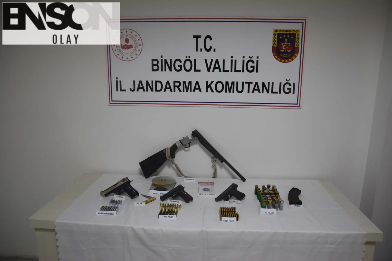 BİNGÖL'de Kenevir Operasyonu: Silah ve Suç Malzemeleri Ele Geçirildi, 1 Kişi Gözaltında.