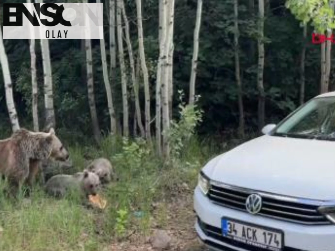 Selçuk Alagöz'ün Cenazesi İstanbul'a Götürülüyor, Kızı Banu Alagöz Duygularını Paylaştı