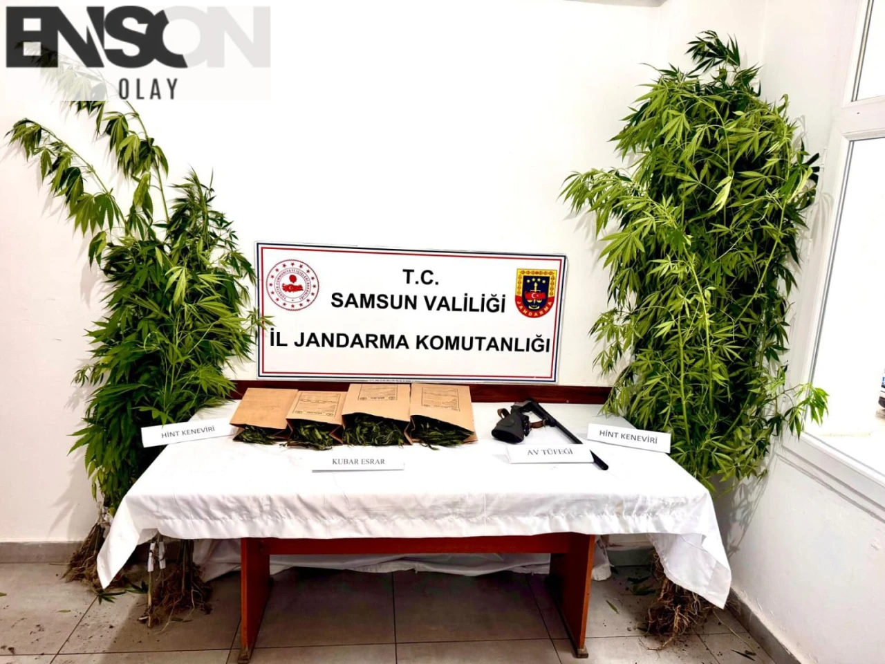 SAMSUN'da evinde kubar esrarla yakalanan şüpheli gözaltına alındı - Uyuşturucu operasyonu sonuçlandı!