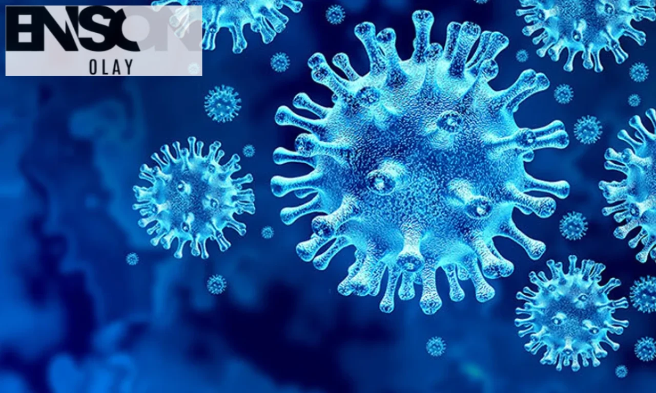 Çin'in Guangdong Eyaletinde Chikungunya Salgını Hızla Yayılıyor: Sivrisineklerle Mücadelede Olağanüstü Tedbirler!