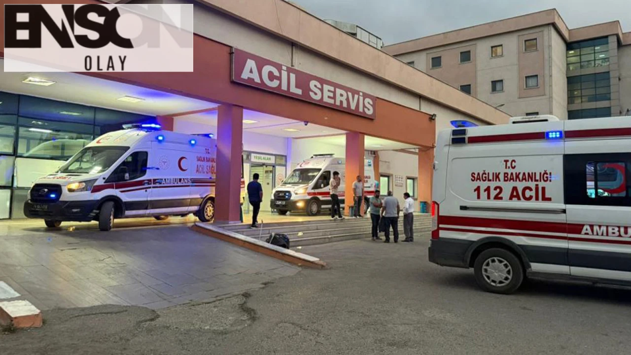 Iğdır'da Yaşanan Gıda Zehirlenmesi Vakaları Artıyor: İkinci Pasta Zehirlenmesi Olayında 7 Kişi Hastaneye Başvurdu