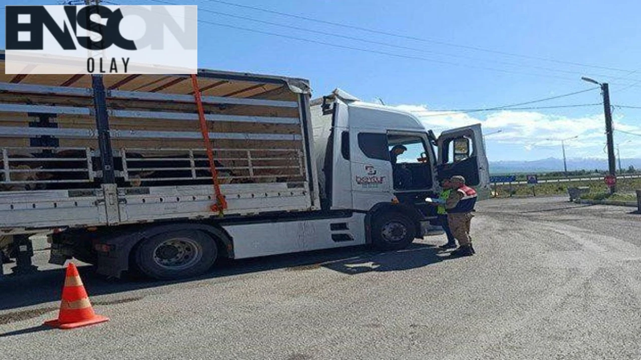 Erzurum'da 24 Düzensiz Göçmen Yakalandı, 2 Şüpheli Organizatör Hakkında Adli İşlem Başlatıldı