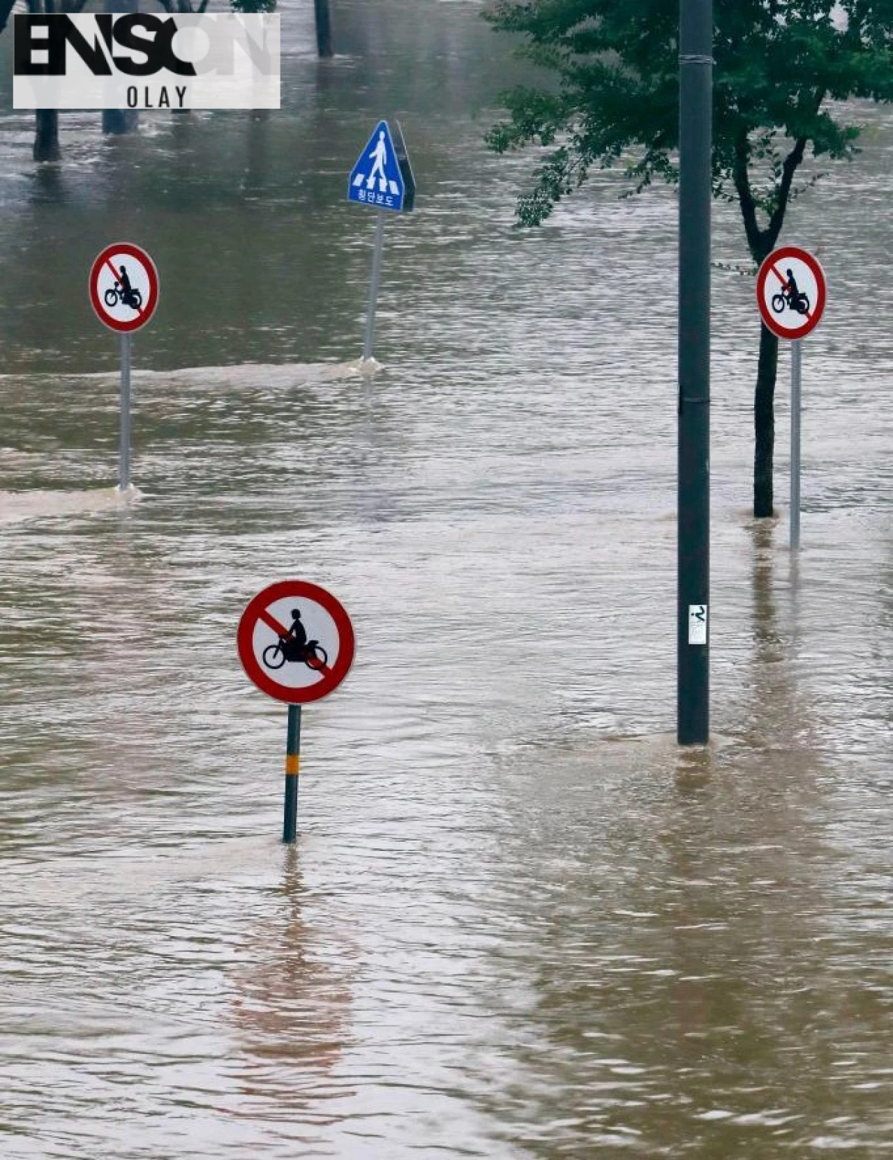 Güney Kore'de Şiddetli Yağışlar Sonucu 1 Kişi Hayatını Kaybetti, Sel Felaketi Devam Ediyor
