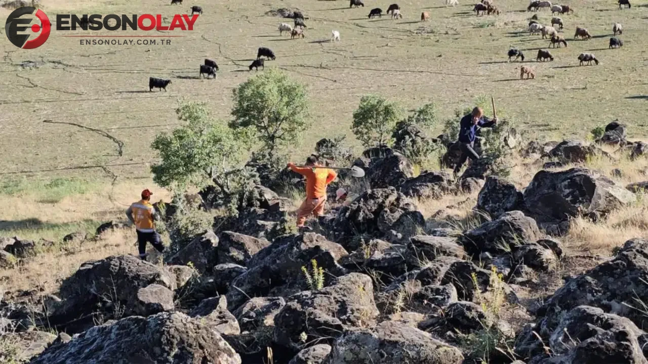 Bitlis'te çıkan yangın 500 dönümlük otluk alanda büyük zarara yol açtı