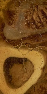 Sibirya'nın buz gibi soğuğunda bile ruhu ısıtan eşsiz çorba: Enerji dolu bir şarj etkisi yaratıyor