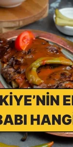 Hangi şehirde ne yenir? Türkiye'nin en iyi kebabı hangisi?