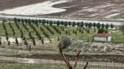 Fırtına sonrası dolu yağışı çiftçiler için yine büyük bir zarara yol açtı!