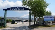 Eskişehir'de Kurban Bayramı'na Hazır: Hayvan Pazarı'nda Yeni Kesim Alanı Hizmete Açıldı